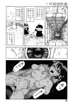 Page 35 of Y Shiki Kaitai Shinsho