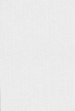 Page 4 of Currently In Use