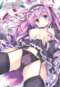 Page 12 of Elune Anima 2