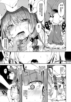 Page 11 of Karakuchi Patchouli-sama