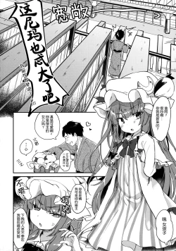 Page 4 of Karakuchi Patchouli-sama