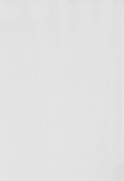 Page 2 of Homurasensei