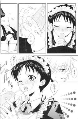 Page 31 of PSP Eva 2 no Susume