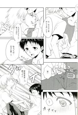 Page 4 of PSP Eva 2 no Susume