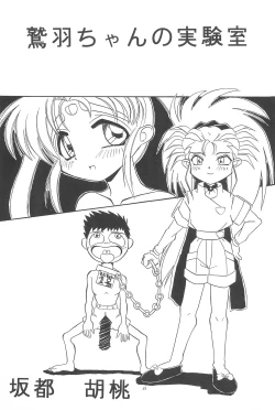 Page 33 of Okayama Meibutsu Tenchi Muyo