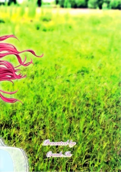 Page 22 of Floriography