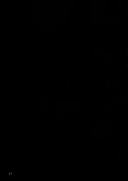 Page 16 of Alice ni Yokubou Decoration