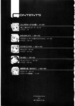 Page 2 of Tsutsuji Museum FINAL