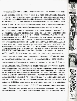 Page 3 of Gaman Report