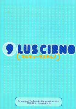 Page 17 of O9LUS CIRNO