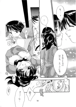 Page 14 of Shibamura no Kuni no Ohimesama
