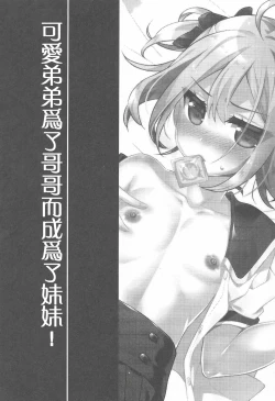 Page 3 of Kawaii Otouto wa Onii-chan no Tame ni Imouto ni Narubeki!