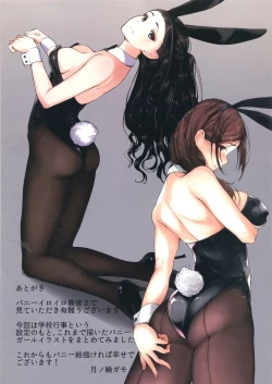 Page 17 of BUNNY IROIRO