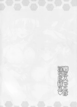 Page 3 of Gou ni Itte wa Midara ni Shitagae