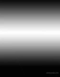 Page 337 of My Wives Ch.1-29