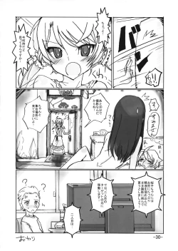 Page 29 of Neuschwanstein3