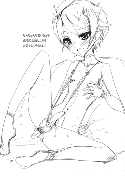 Page 32 of Neuschwanstein3