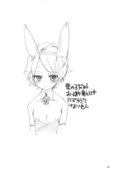 Page 3 of Neuschwanstein3