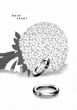 Page 29 of Dulce Report 10 | 达西报告 10