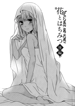 Page 3 of Hana to Hachimitsu Kouhen