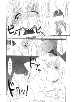 Page 13 of Haiiro no Gensoukyoku