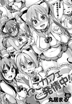 Page 2 of Neko Cafe Hatsujou Chuu! | 猫咪咖啡发情中