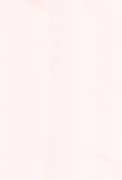 Page 252 of toro ma n sutairu + tora no ana rīfuretto