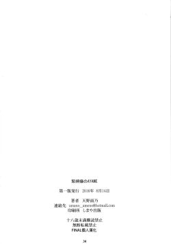 Page 29 of Kinbakujou no AYAME