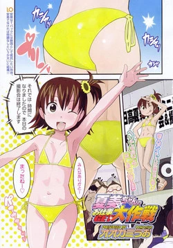 Download chan's Great Strategy to Get a Job