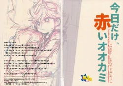 Page 2 of Kyou dake, Akai Ookami