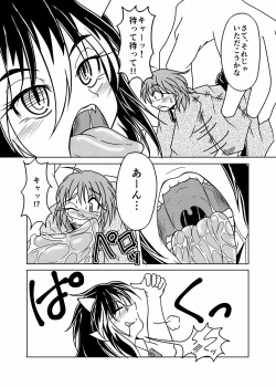 Page 14 of Touhou Marunomiroku Shinuchi