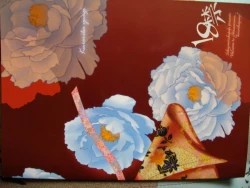 Page 31 of Kuro Rika Yuugi