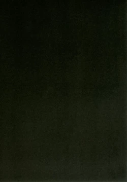 Page 14 of Koishi-chan no Ecchi na Hon!