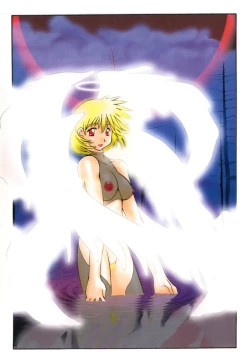 Page 3 of Polymath Master