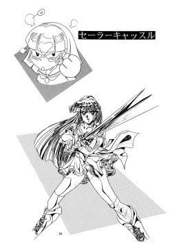 Page 29 of Chaos Create Kawarajima Koh Datafile