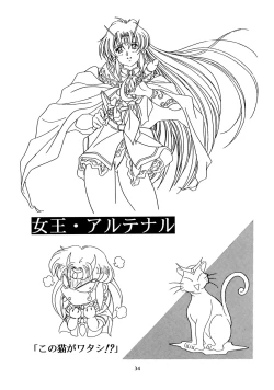 Page 33 of Chaos Create Kawarajima Koh Datafile