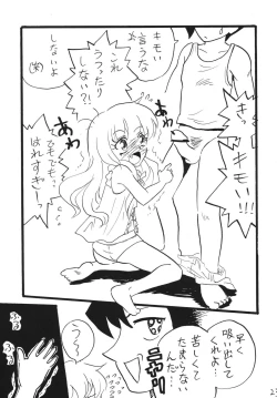 Page 23 of Zero no Louise