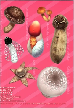 Page 20 of Kongou to Manatsu no Kinoko Kari? !