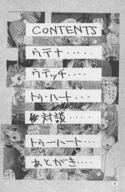 Page 3 of The Kudoki dancer 5