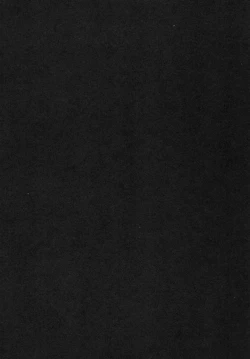 Page 4 of Marisa to Youmu no Yukemuri Ecchi