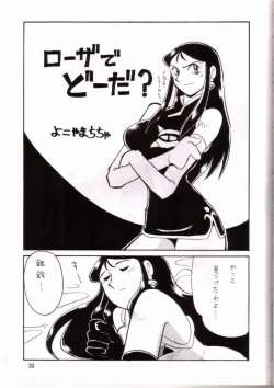 Page 20 of Ginrei Hon IV