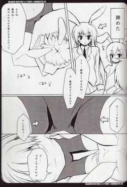 Page 12 of USAMIMI BUSTERS!