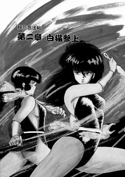 Page 24 of Youka Ninpouchou Ten no Maki