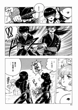 Page 45 of Youka Ninpouchou Ten no Maki