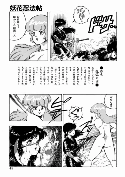 Page 46 of Youka Ninpouchou Ten no Maki