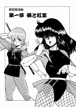 Page 9 of Youka Ninpouchou Ten no Maki