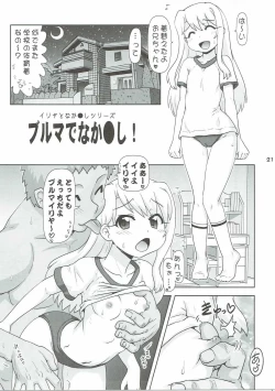 Page 20 of Illya to Nakadashi 2