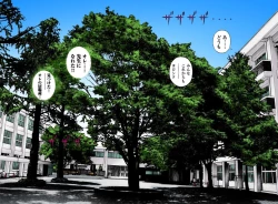 Page 161 of No・Zo・Ku HokenKyoshi